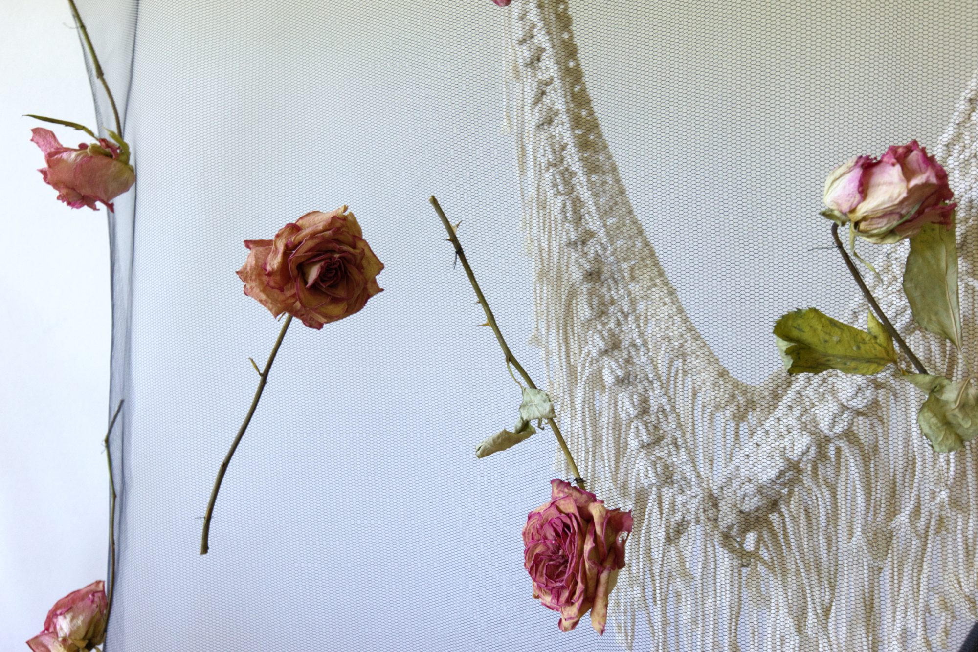 Trachten in SCHICHTEN